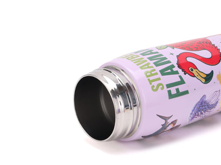 Brainrot Themed Stainless Steel Insulated Water Bottle 620 ml| Leakproof |BPA Free| Up to 12Hrs Hot&Cold| Girls & Boys | School, Picnic,Travel